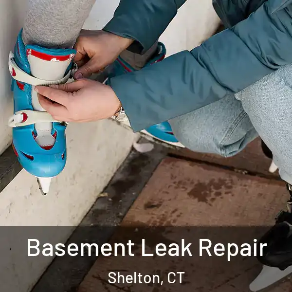  Basement Leak Repair Shelton, CT
