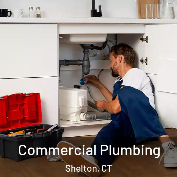  Commercial Plumbing Shelton, CT