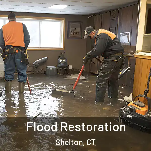  Flood Restoration Shelton, CT