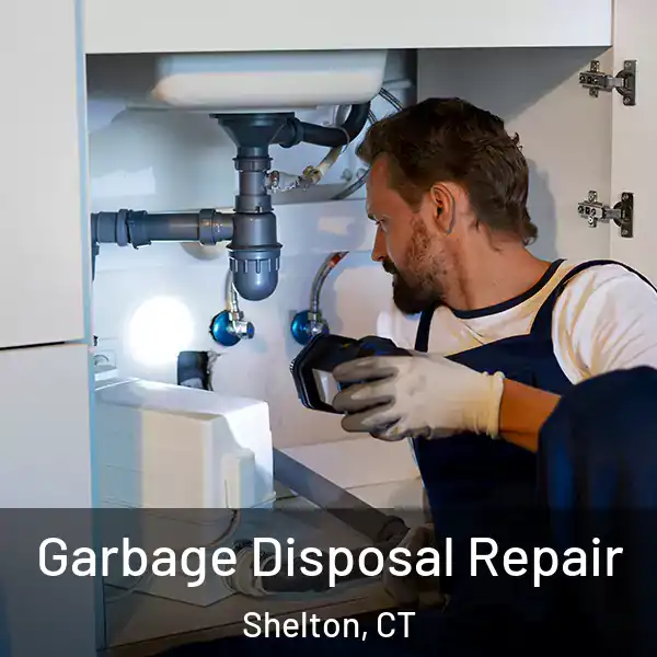  Garbage Disposal Repair Shelton, CT