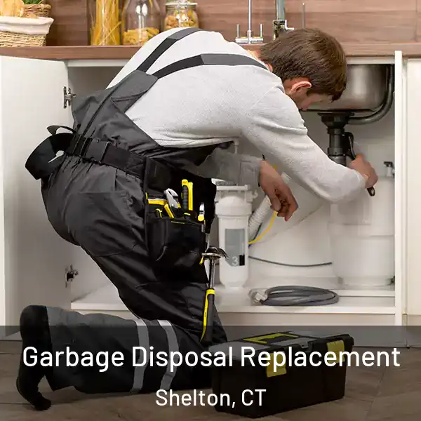  Garbage Disposal Replacement Shelton, CT