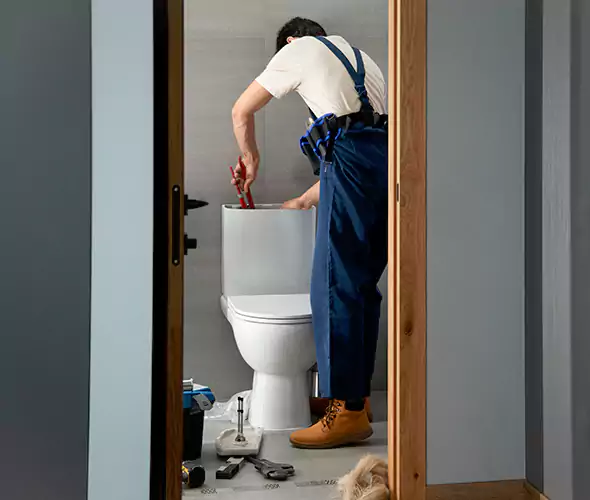 Professional Plumbers for Toilet Bowl Replacement in Shelton, CT: Schedule Affordable Toilet Replacement Services With Us