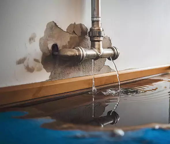 Professional Water Damage Restoration Experts in Shelton, CT — Fast, Reliable & Certified