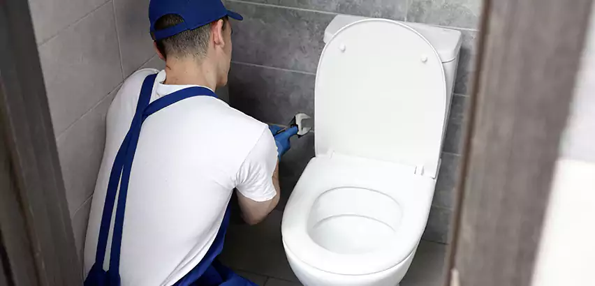 Toilet Lid Replacement in Shelton