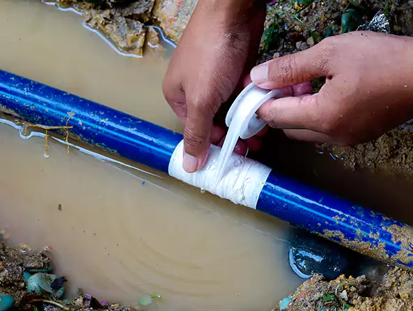  Why Choose Shelton Plumbing Pro for Leak Detection in Shelton, CT?]