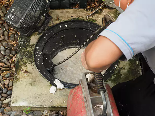 Why Choose Shelton Plumbing Pro for Sewer Line Cleaning in Shelton, CT?