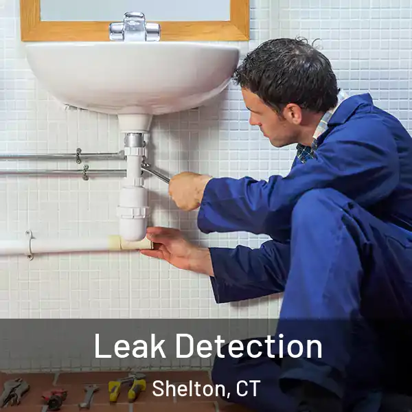  Leak Detection Shelton, CT