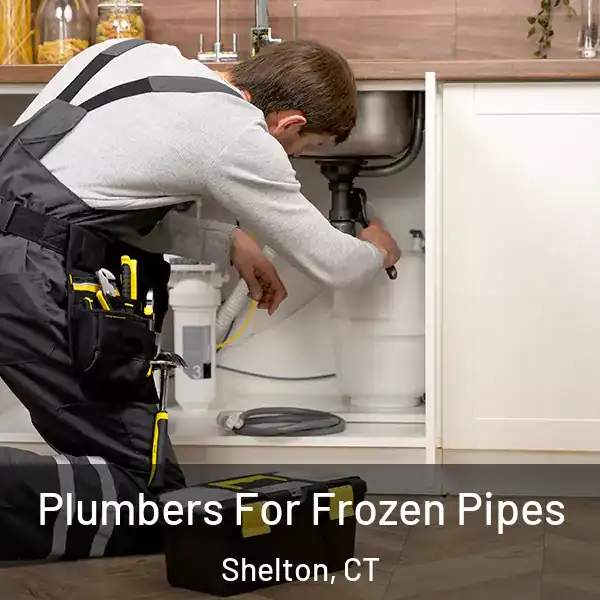  Plumbers For Frozen Pipes Shelton, CT