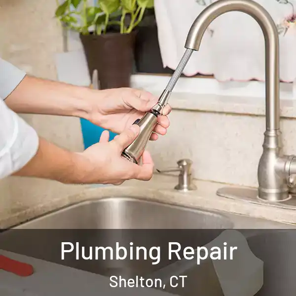  Plumbing Repair Shelton, CT