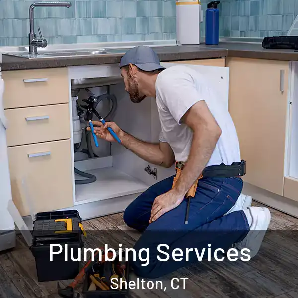  Plumbing Services Shelton, CT