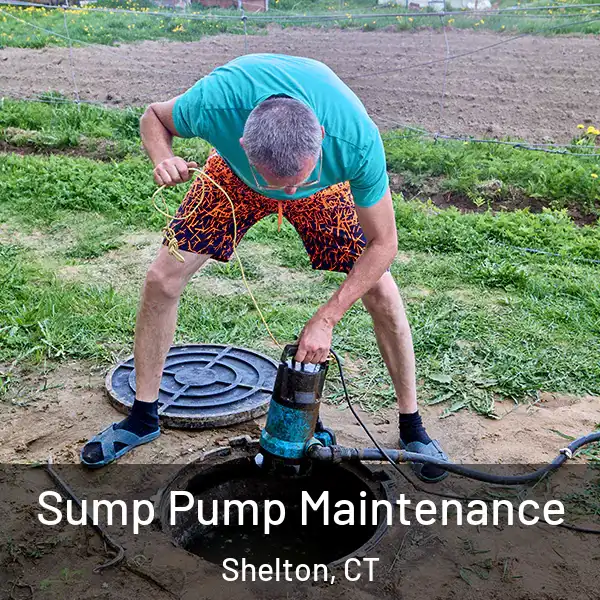  Sump Pump Maintenance Shelton, CT