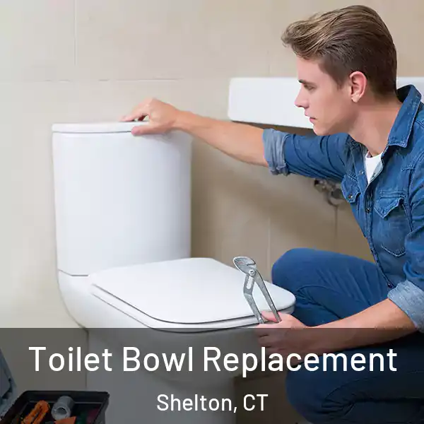  Toilet Bowl Replacement Shelton, CT
