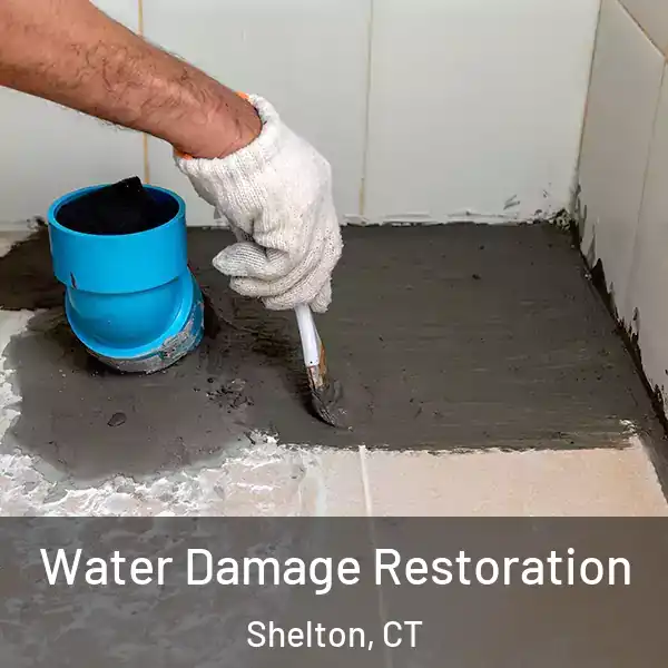  Water Damage Restoration Shelton, CT