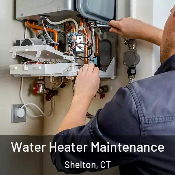  Water Heater Maintenance Shelton, CT
