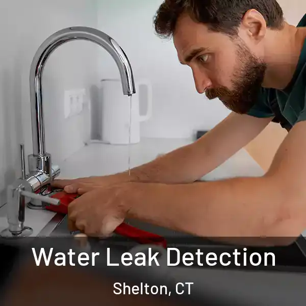  Water Leak Detection Shelton, CT