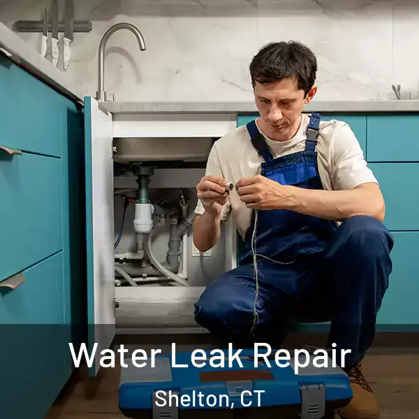  Water Leak Repair Shelton, CT